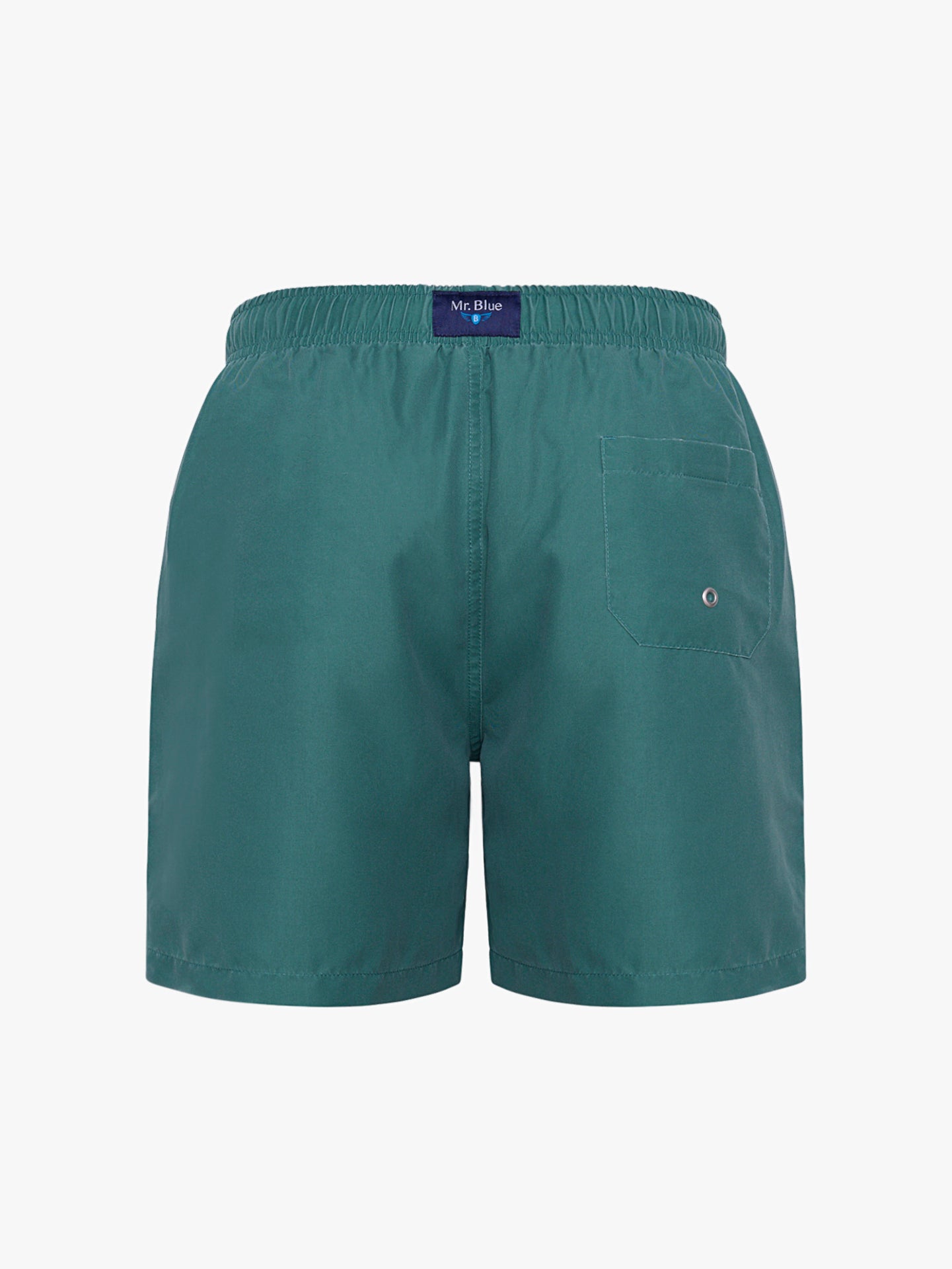 REGULAR FIT MR GREEN SWIMMING SUIT BLUE