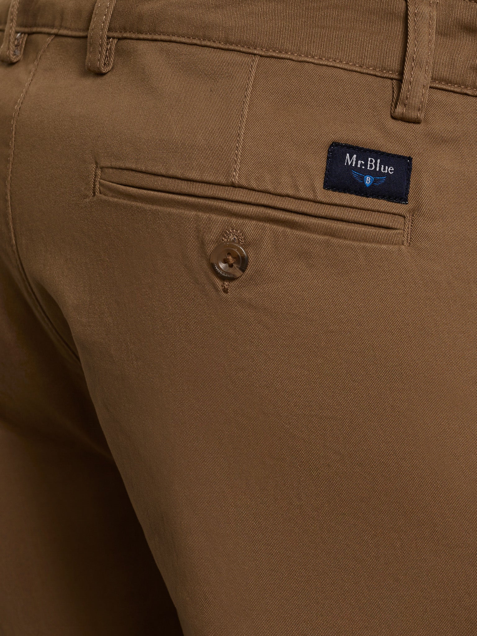 ALGODÓN CAMELLOS REGULAR FIT MR. AZUL