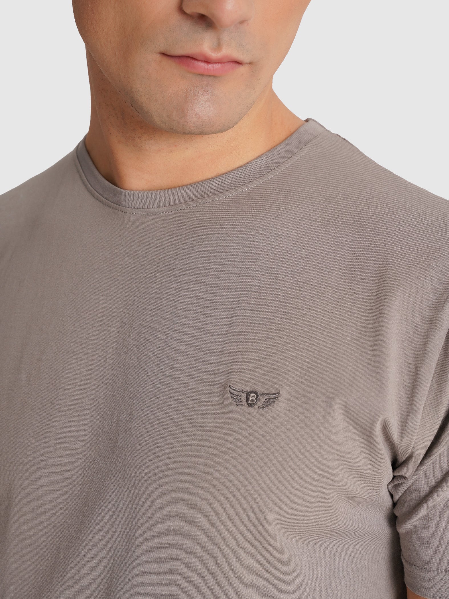 CAMISETA MANGA CORTA GRIS REGULAR FIT MR. AZUL