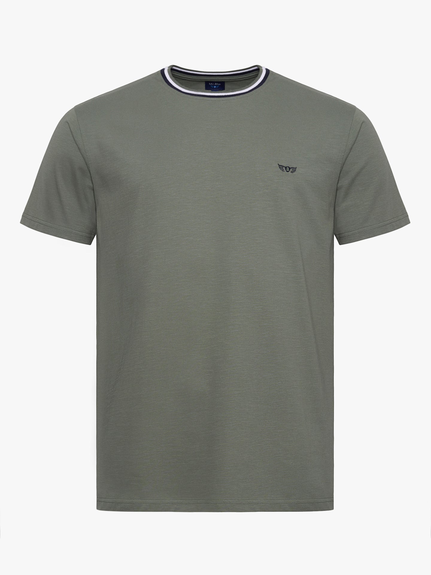 CAMISETA ALGODÓN VERDE MANGA CORTA REGULAR FIT MR. AZUL