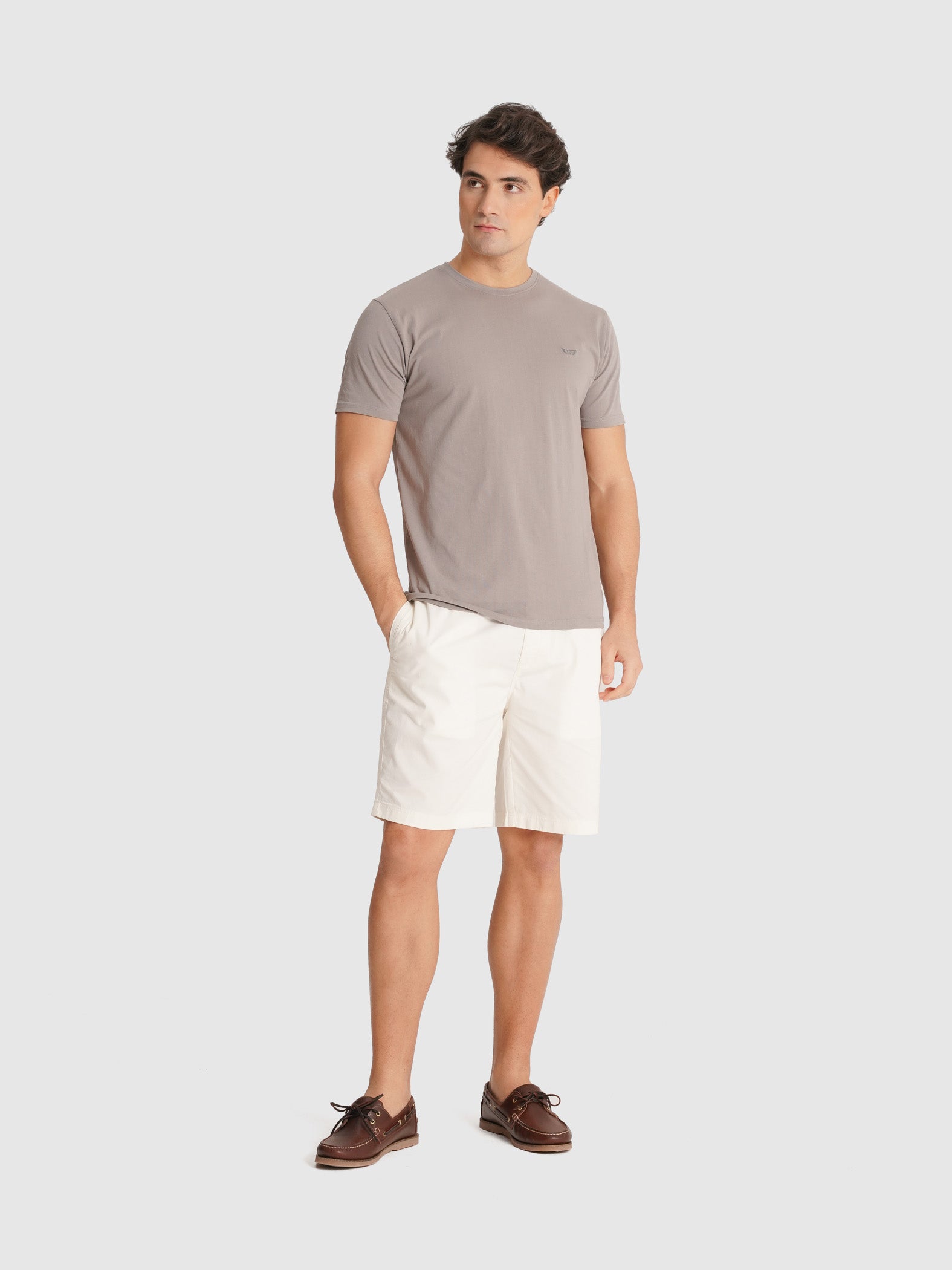 CAMISETA MANGA CORTA GRIS REGULAR FIT MR. AZUL