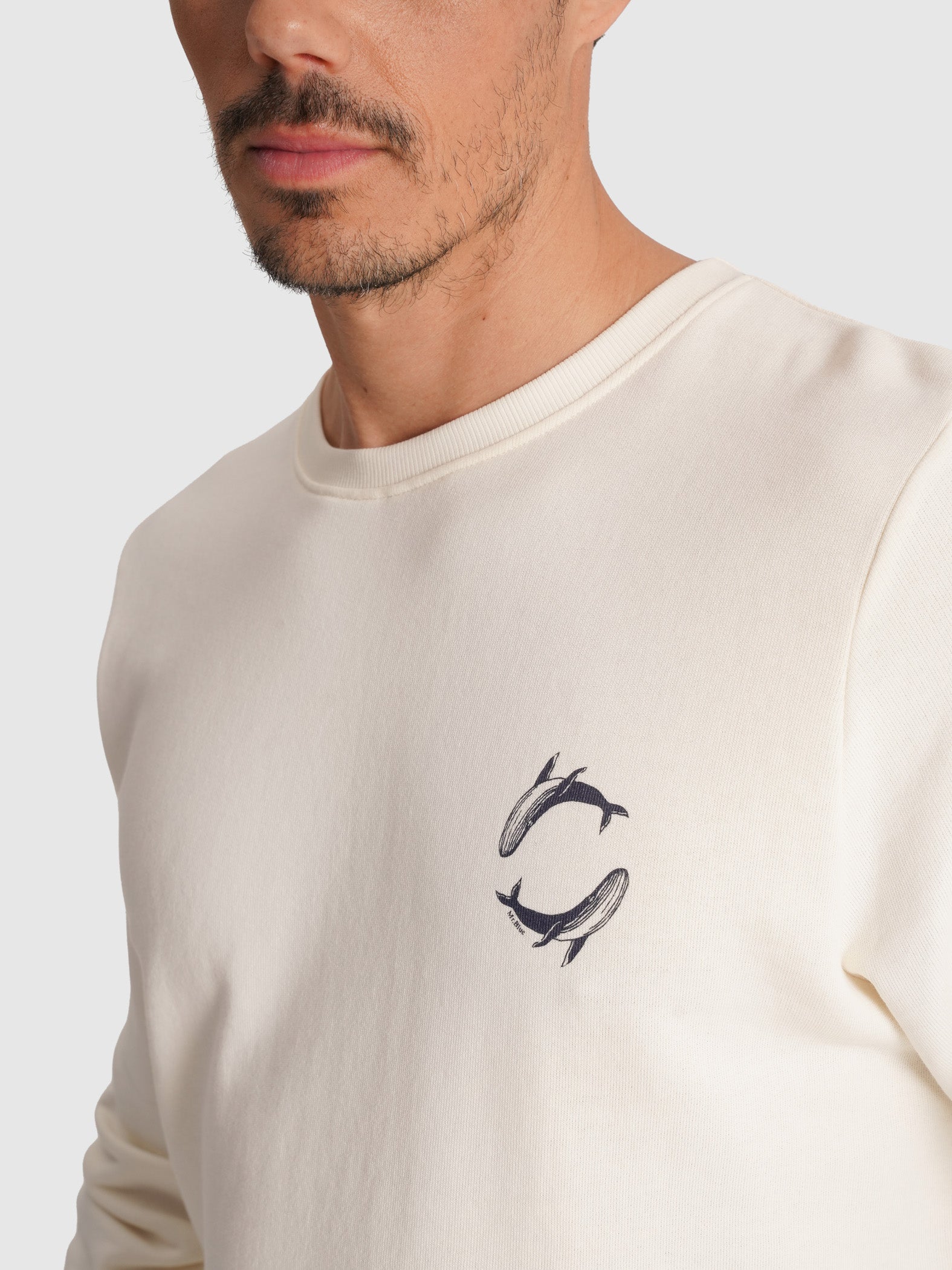 RAW REGULAR FIT HOODIE MR. BLUE