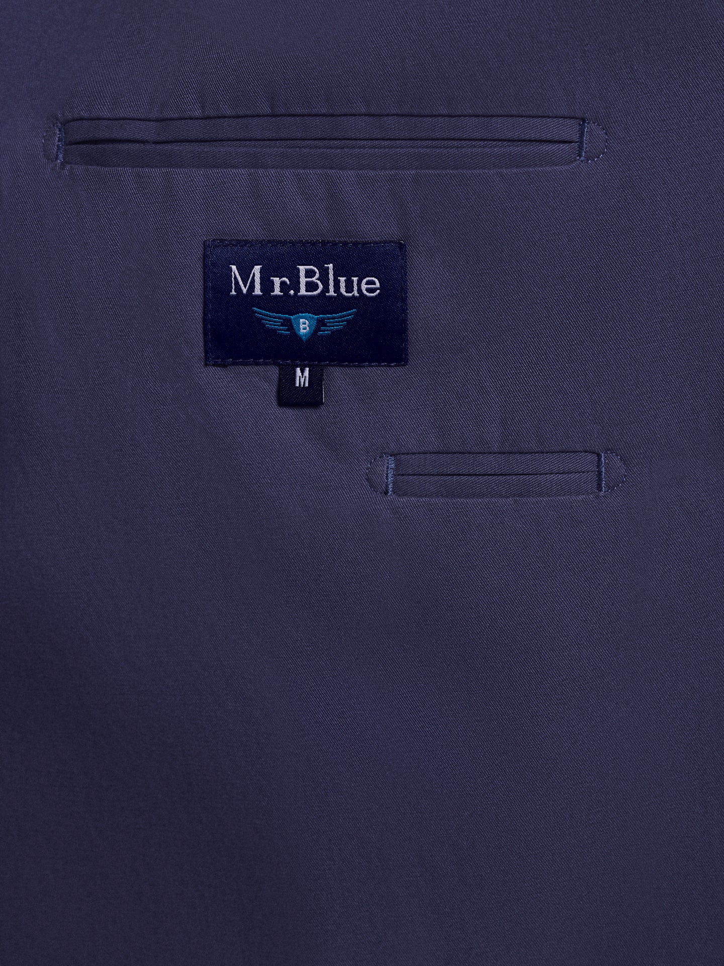 REGULAR FIT BLUE BLAZER MR. BLUE