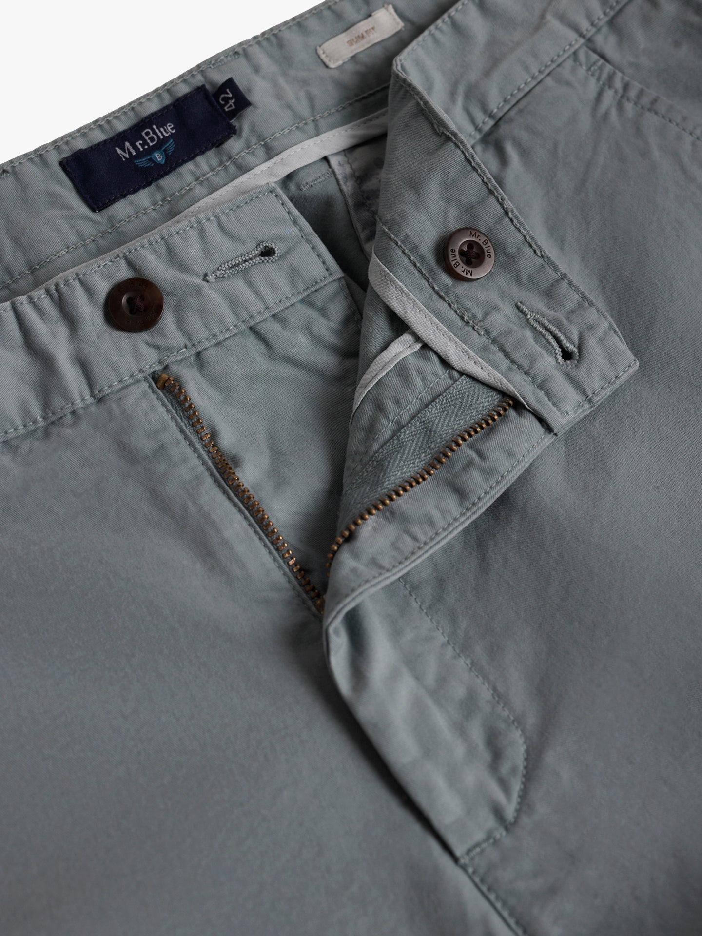 Mr. Blue Slim Fit Twill Green Chinos