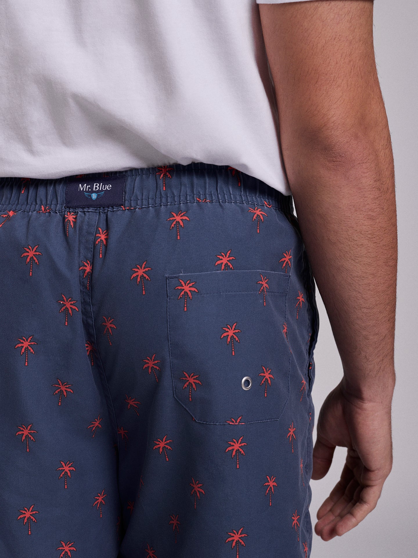 REGULAR FIT MR. BLUE SWIMMING SUIT BLUE