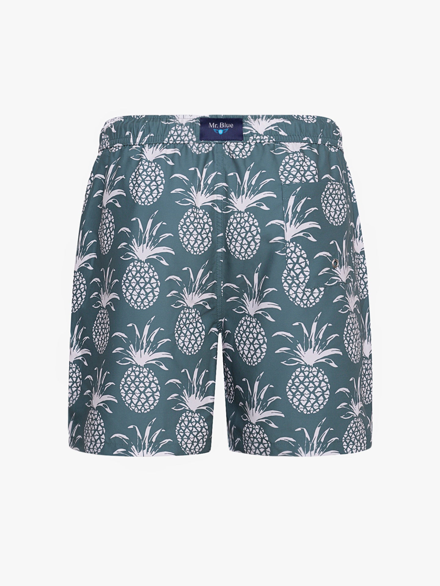 REGULAR FIT MR GREEN SWIMMING SUIT BLUE