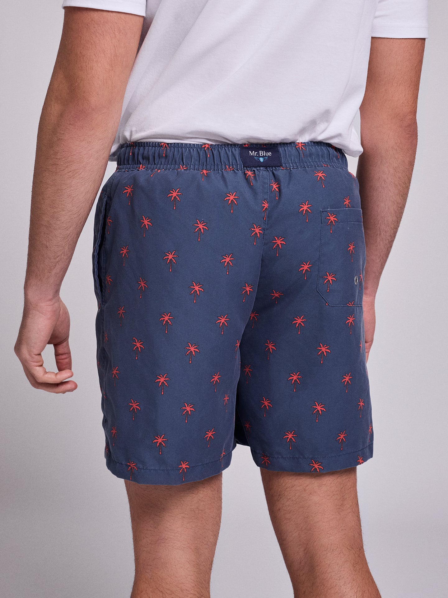 REGULAR FIT MR. BLUE SWIMMING SUIT BLUE