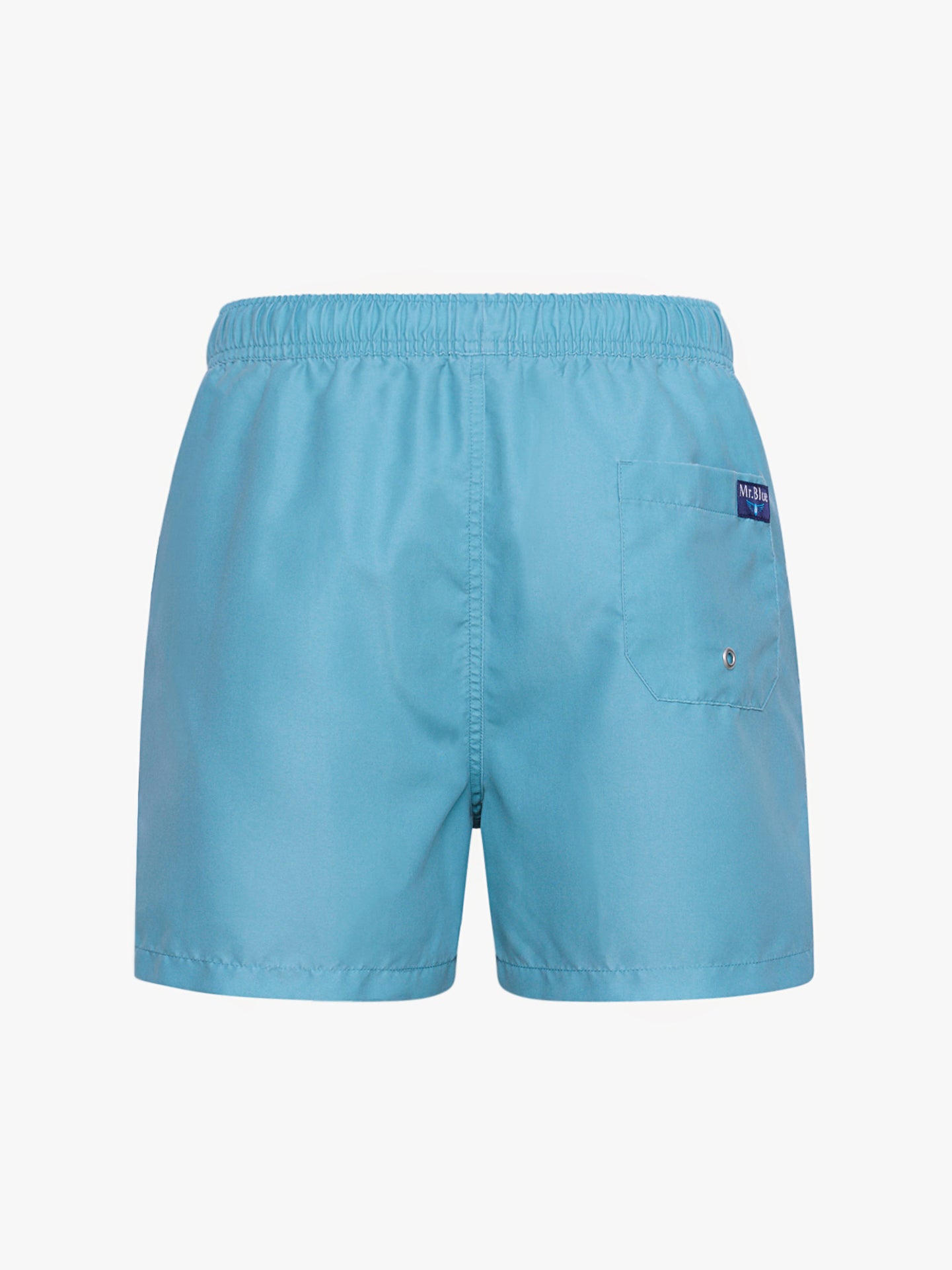 REGULAR FIT MR. BLUE SWIMMING SUIT BLUE