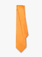 REGULAR FIT MR. ORANGE TIE BLUE