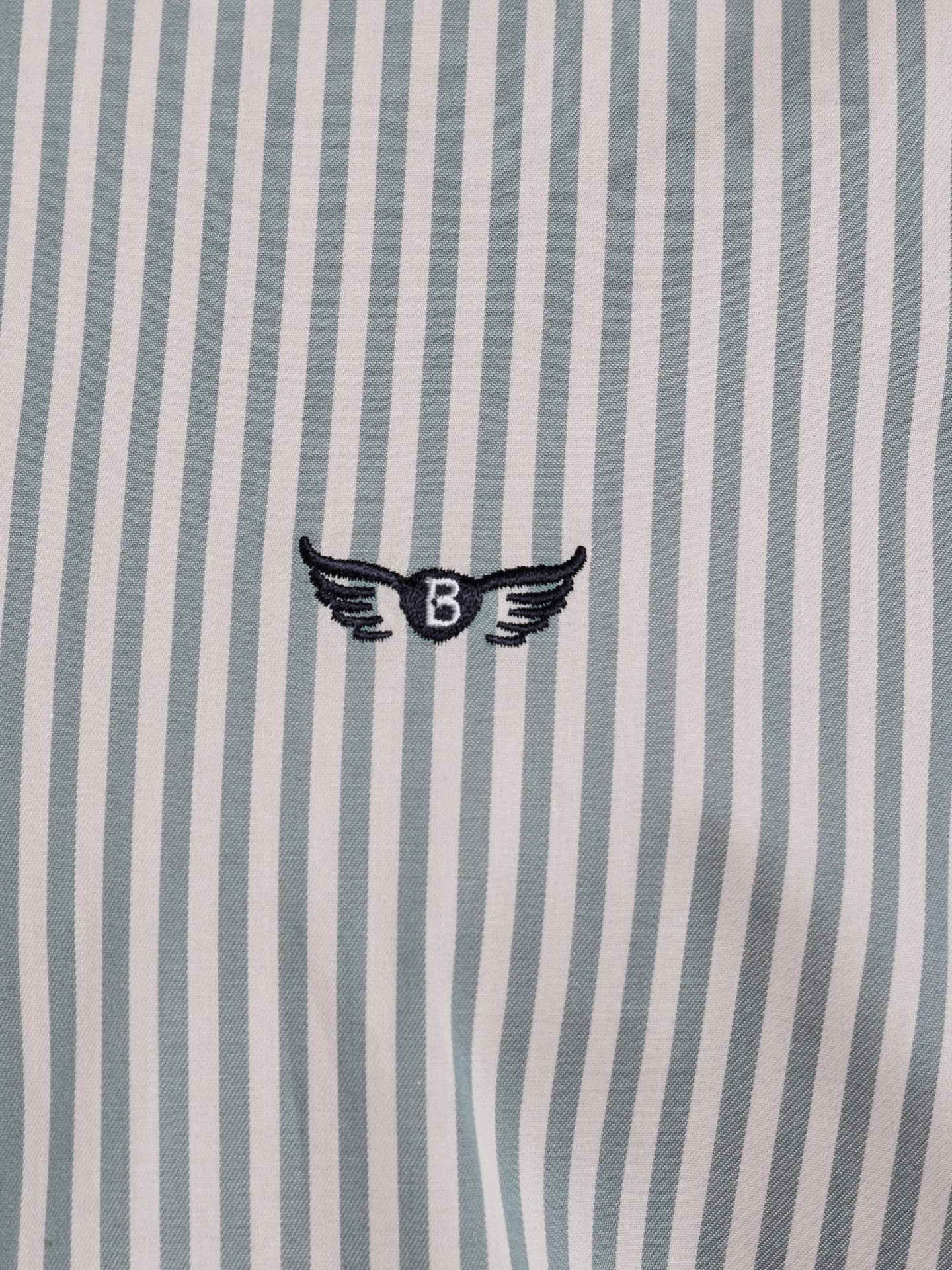 CAMISA ALGODÓN VERDE MANGA LARGA REGULAR FIT MR. AZUL