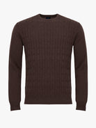 THIN BROWN PULLOVER LONG SLEEVE REGULAR FIT MR. BLUE