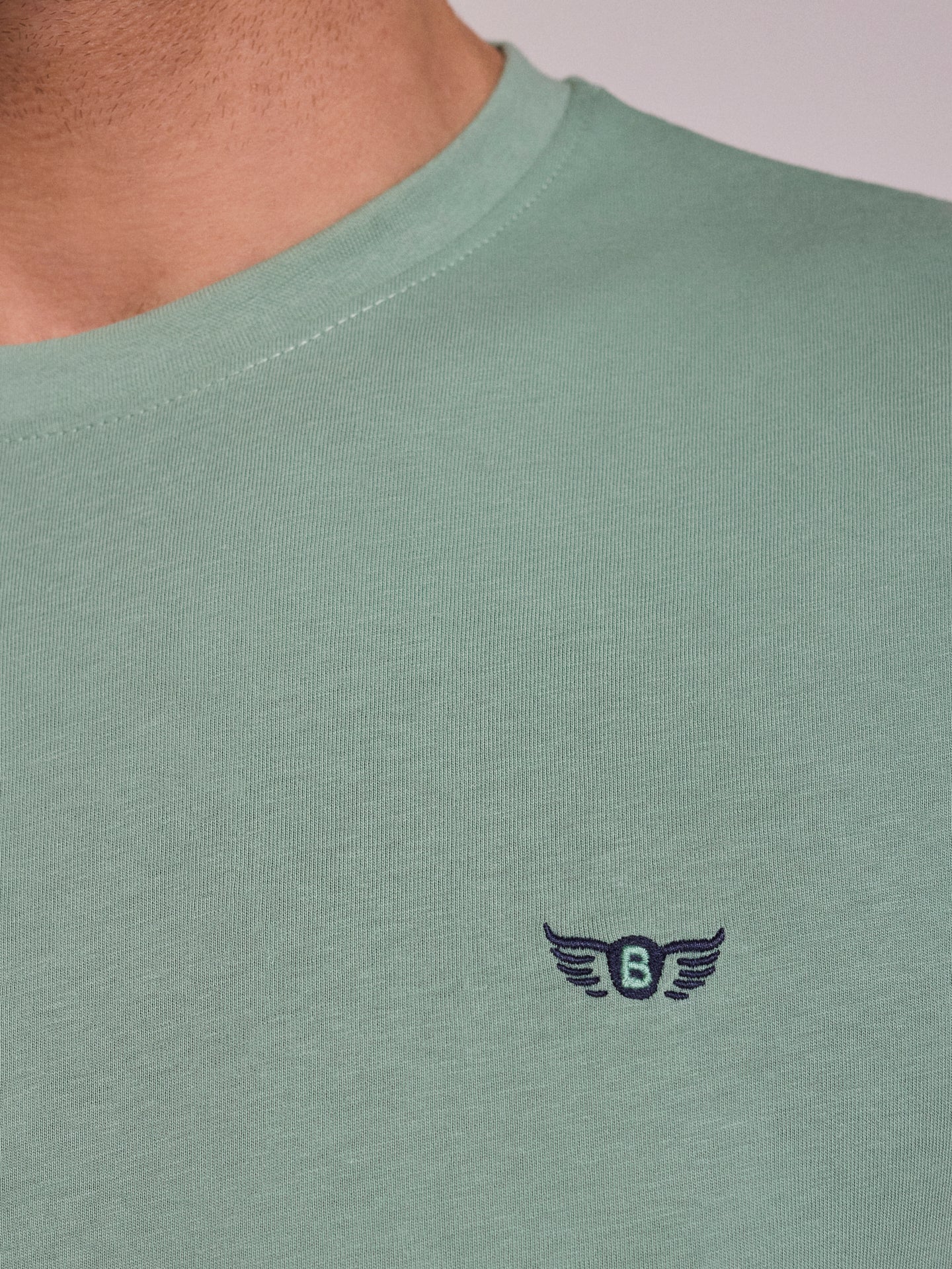 CAMISETA ALGODÓN VERDE MANGA CORTA REGULAR FIT MR. AZUL