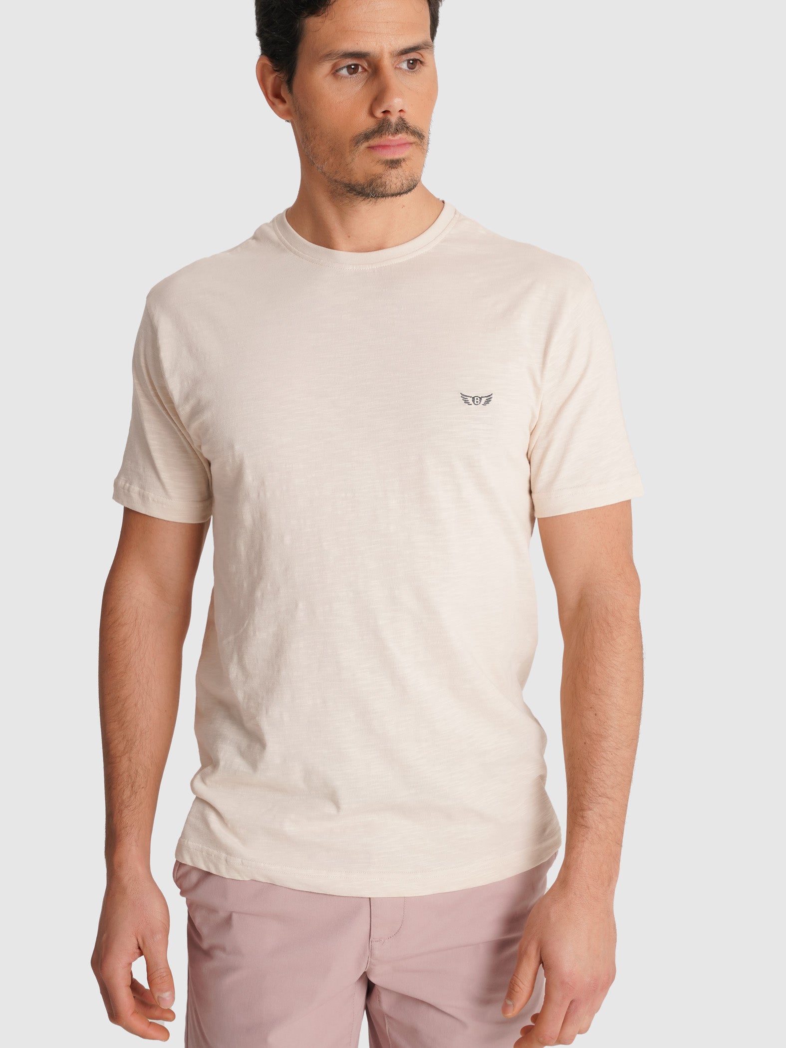 RAW T-SHIRT SHORT SLEEVE REGULAR FIT MR. BLUE