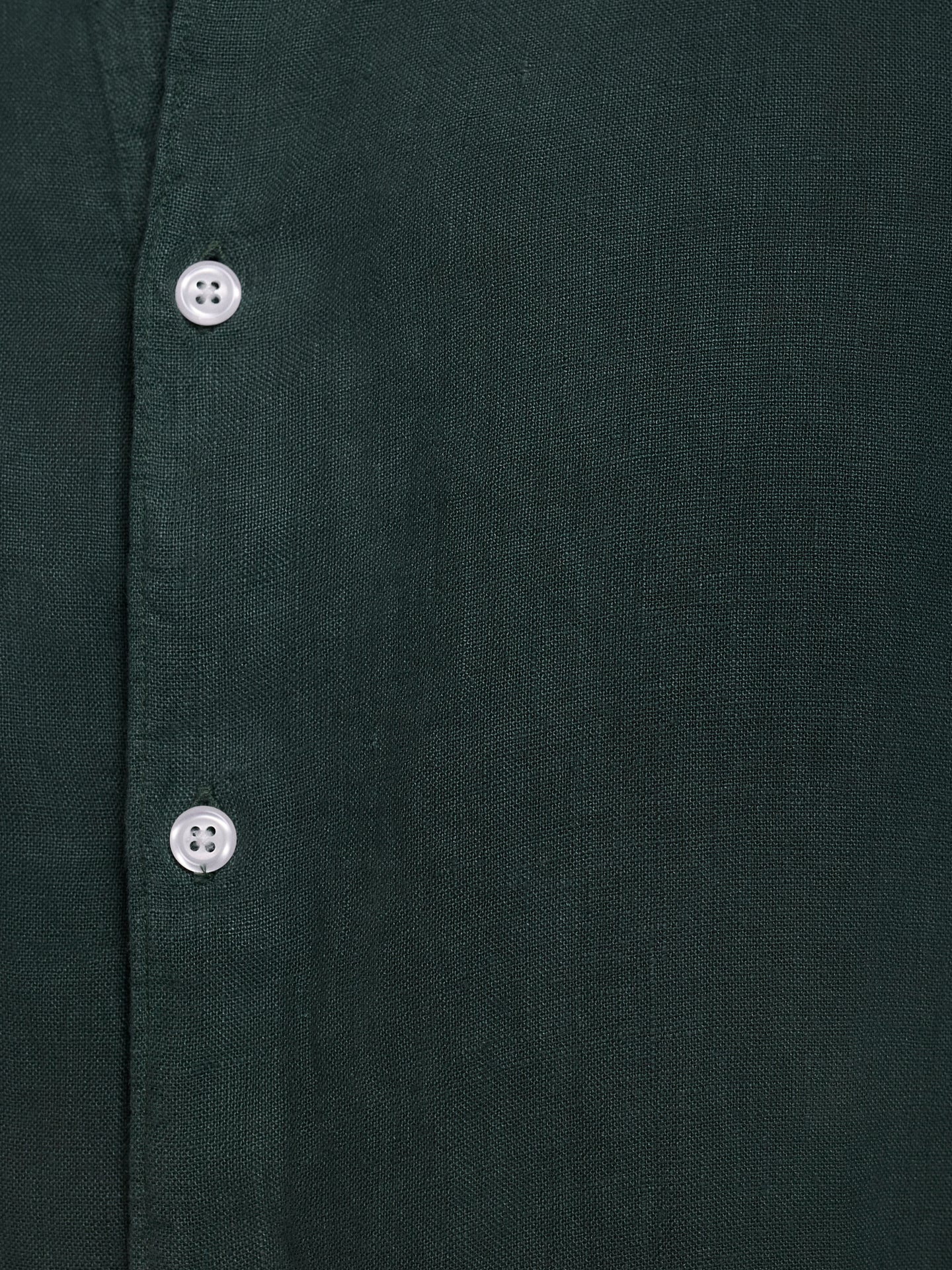 CAMISA SASTRERÍA MANGA LARGA VERDE MARK BELLUCCI