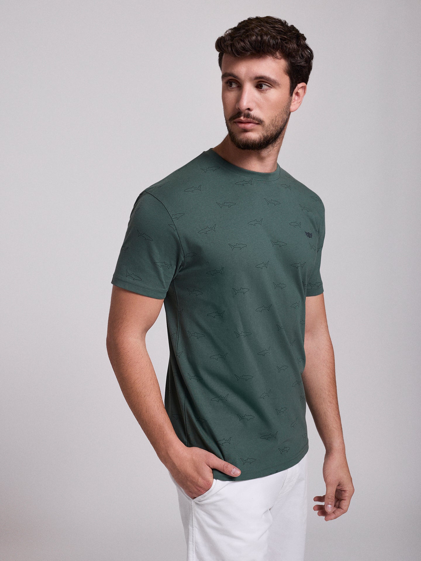 CAMISETA ALGODÓN VERDE MANGA CORTA REGULAR FIT MR. AZUL