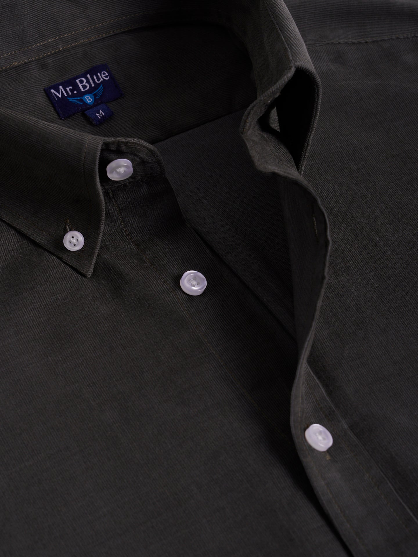 GREEN REGULAR FIT MR SHIRT. BLUE