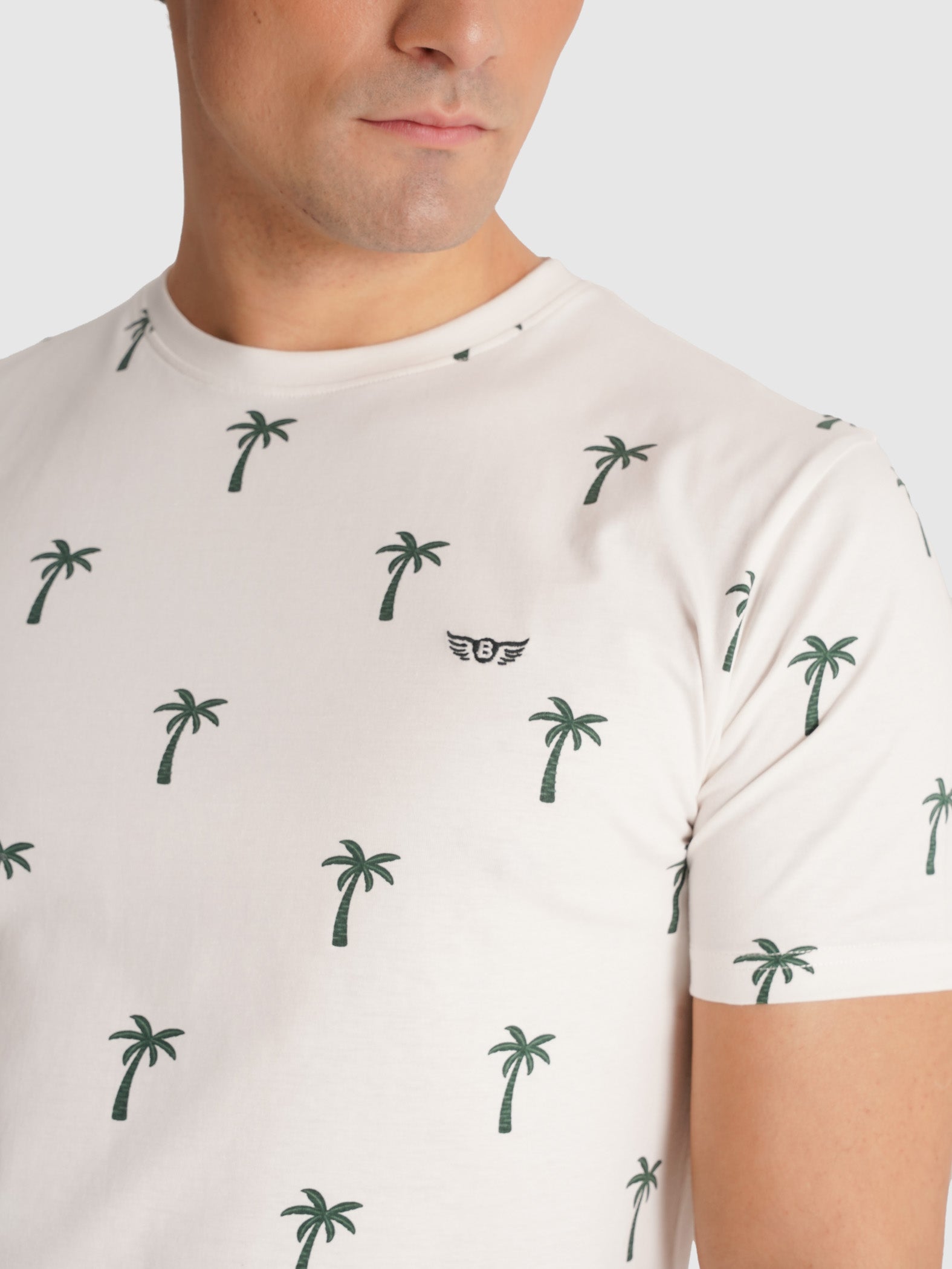 RAW T-SHIRT SHORT SLEEVE REGULAR FIT MR. BLUE