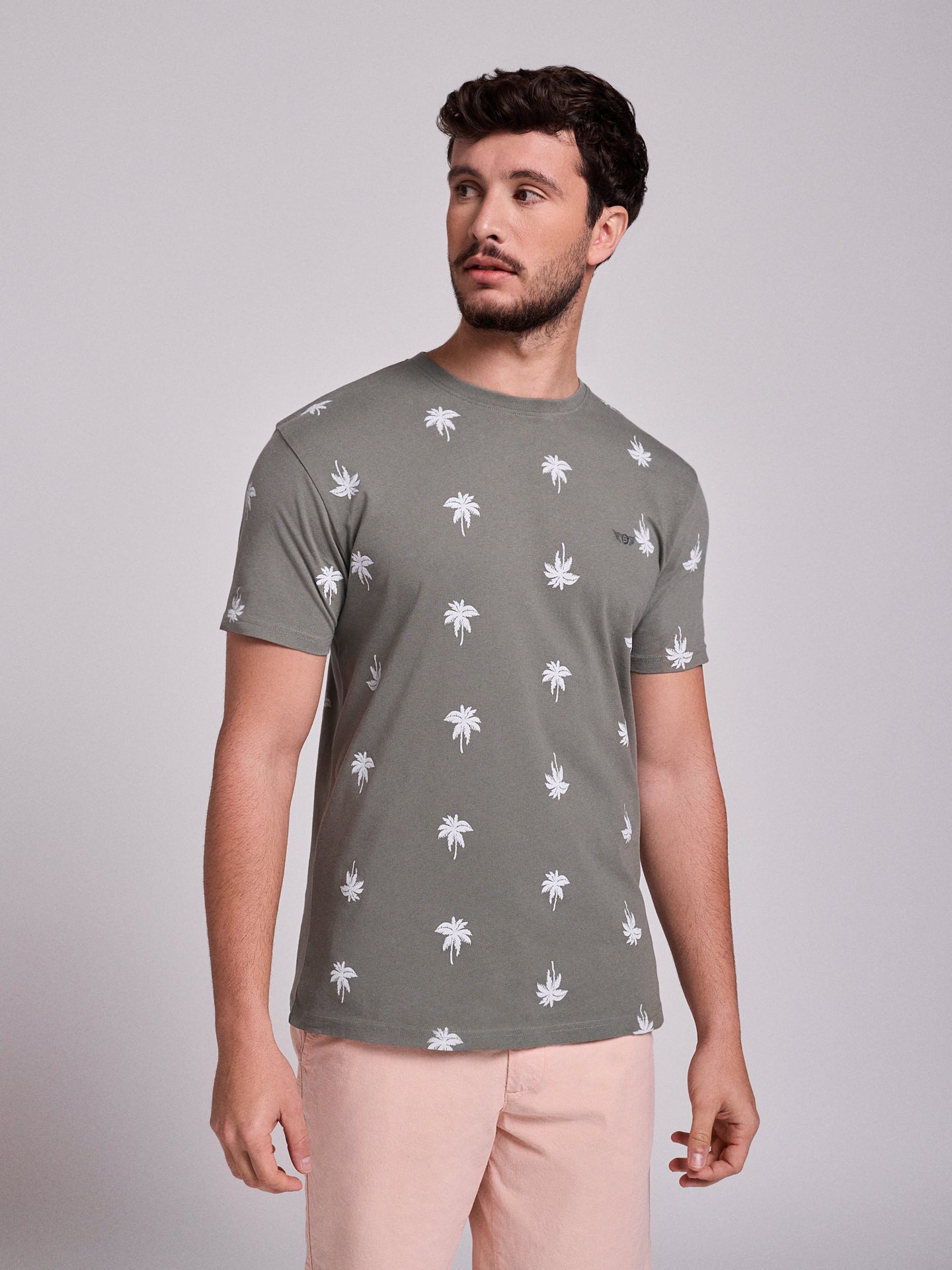 CAMISETA ALGODÓN VERDE MANGA CORTA REGULAR FIT MR. AZUL