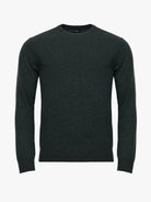 REGULAR FIT GREEN THIN PULLOVER MR. BLUE