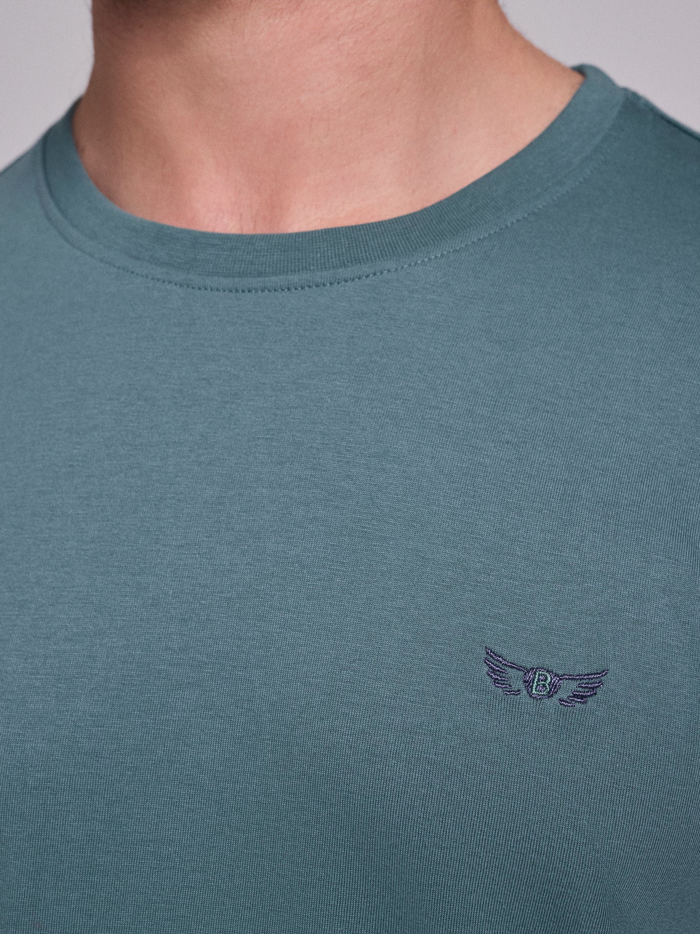CAMISETA ALGODÓN VERDE MANGA CORTA REGULAR FIT MR. AZUL