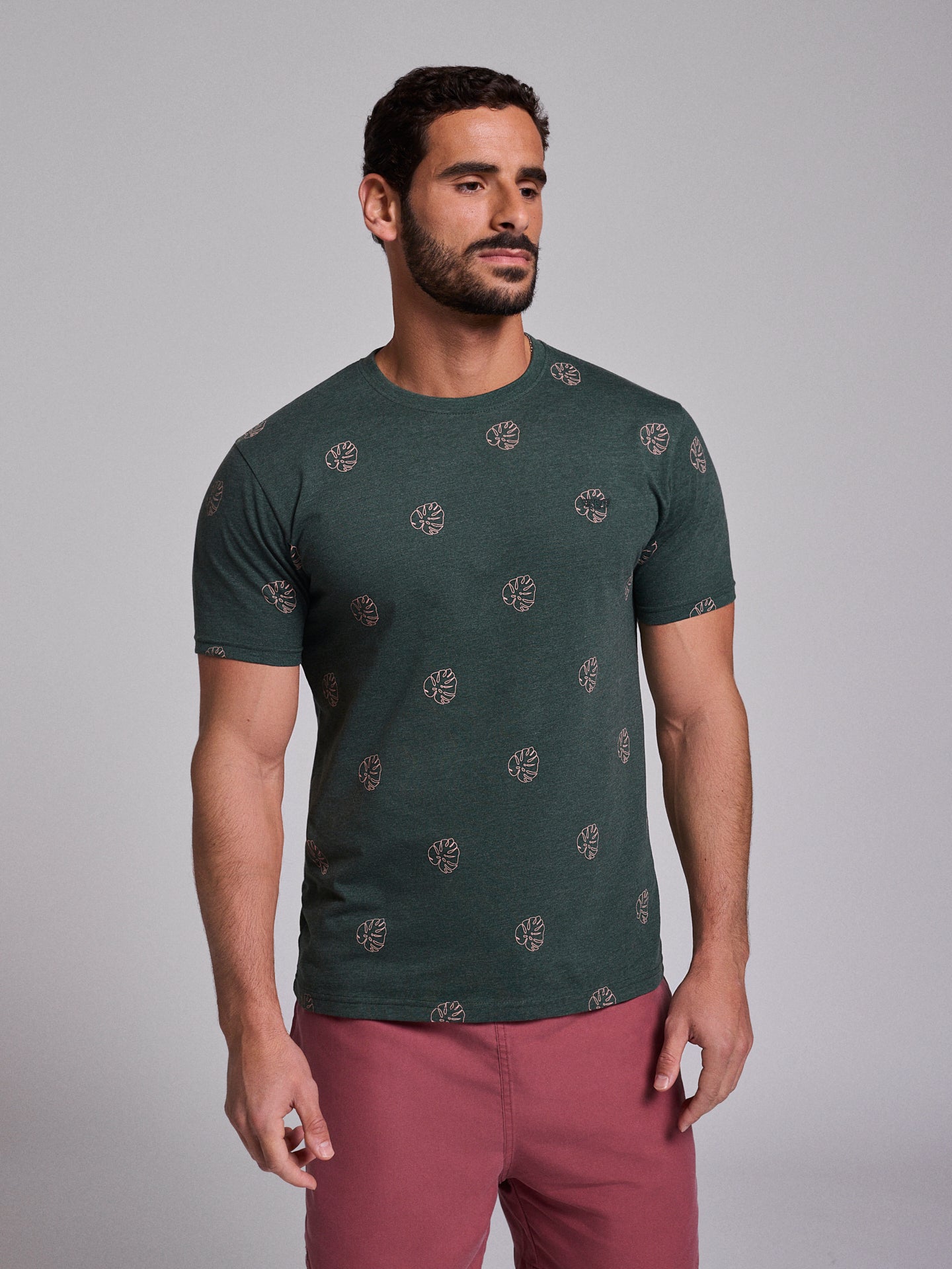 CAMISETA ALGODÓN VERDE MANGA CORTA REGULAR FIT MR. AZUL