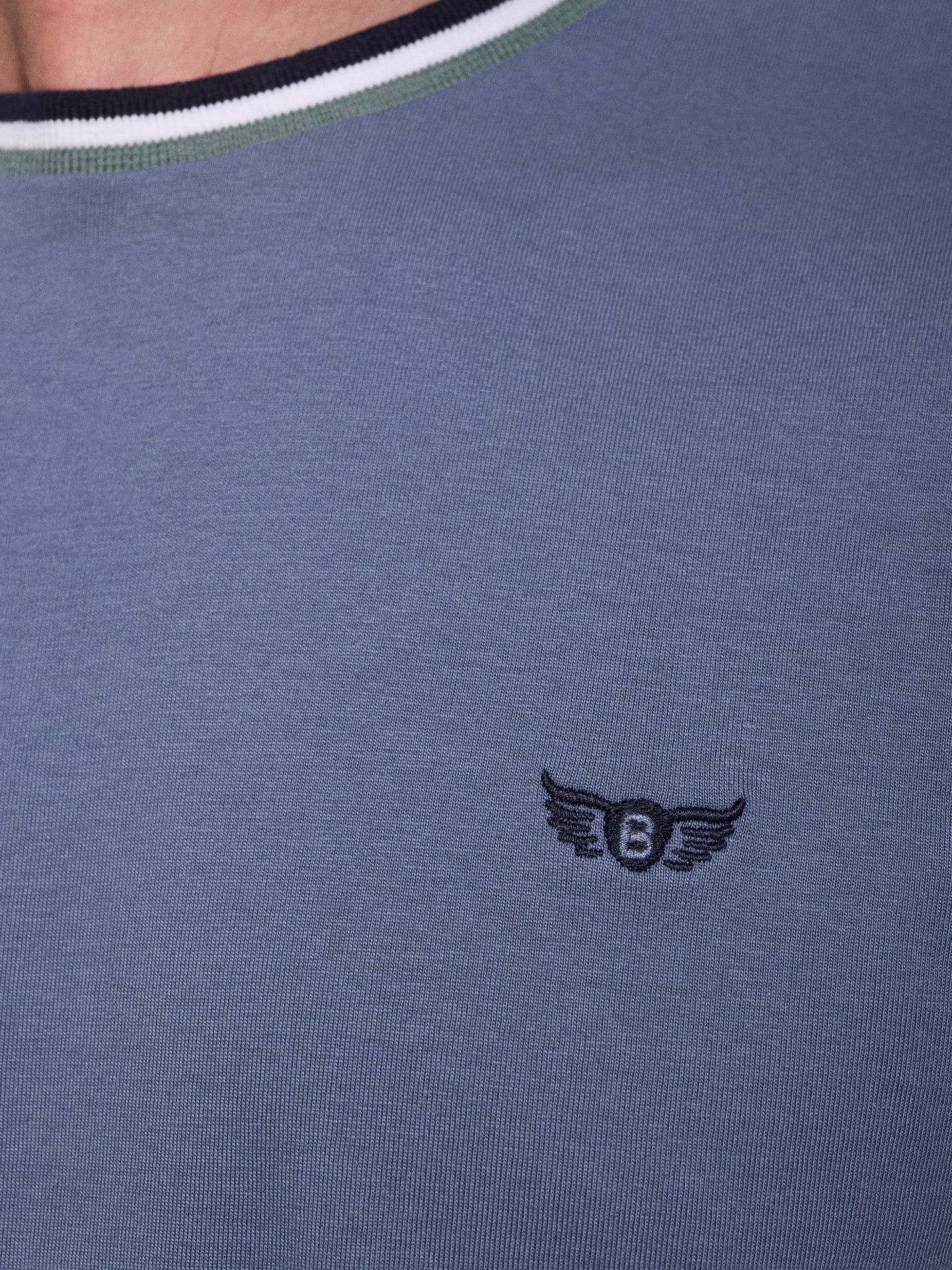 CAMISETA ALGODÓN AZUL MANGA CORTA REGULAR FIT MR. AZUL
