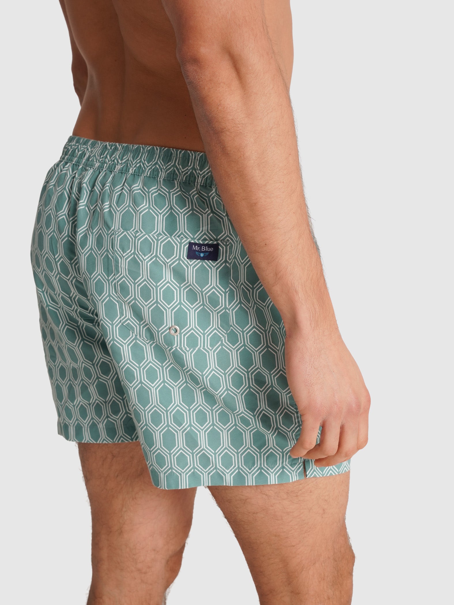 REGULAR FIT MR. BLUE SWIMMING SUIT BLUE