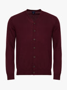 BORDEAUX THIN PULLOVER LONG SLEEVE REGULAR FIT MR. BLUE