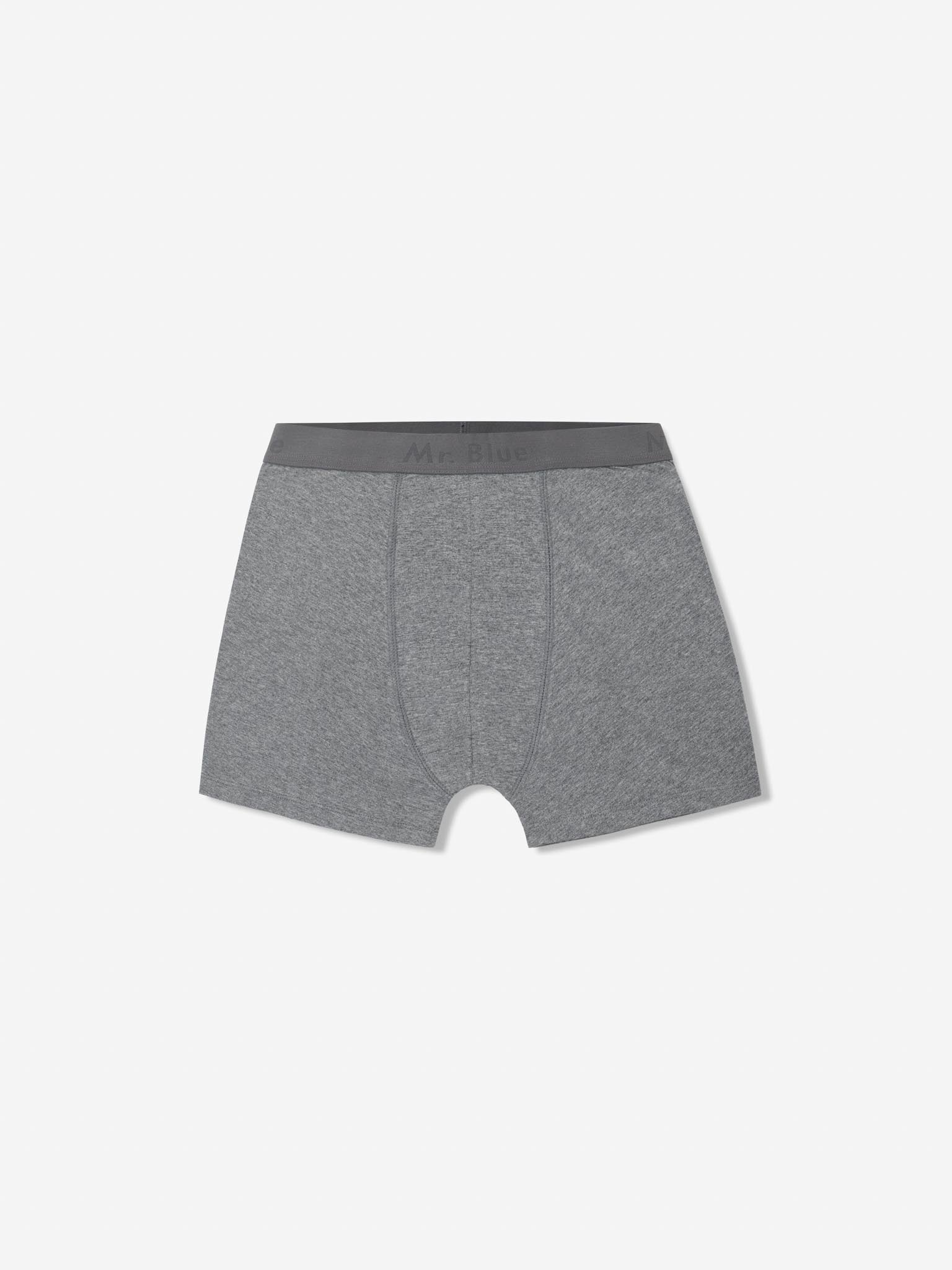 BOXER GRIS REGULAR FIT MR. AZUL