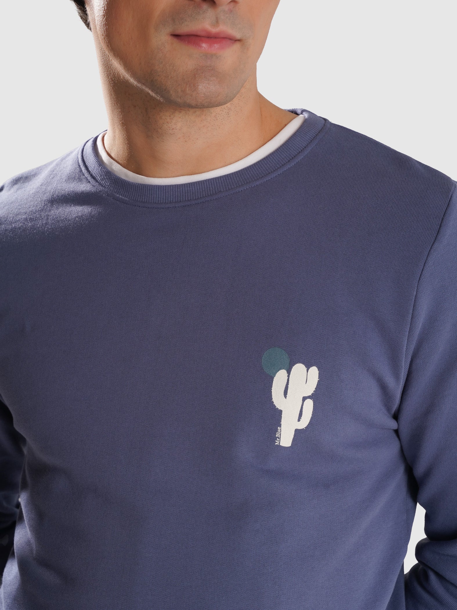 REGULAR FIT BLUE HOODIE MR. BLUE