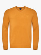 Mr. Blue Yellow Thick Wool Pullover