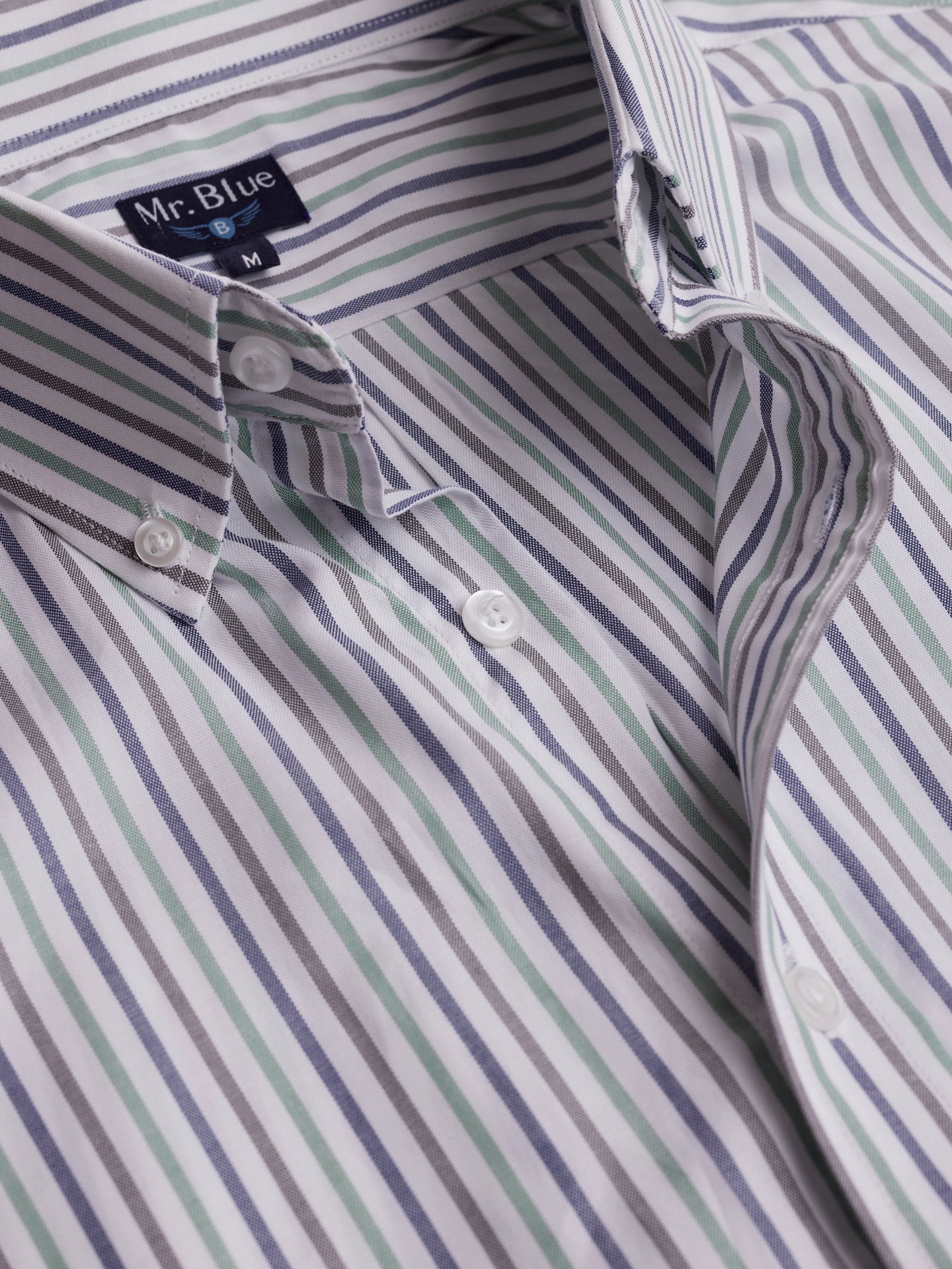 Camisa Oxford Corte Regular Mr. Blue Verde
