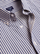Mr. Blue Regular Fit Twill Shirt