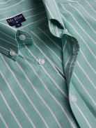 Camisa Oxford Corte Regular Mr. Blue Verde